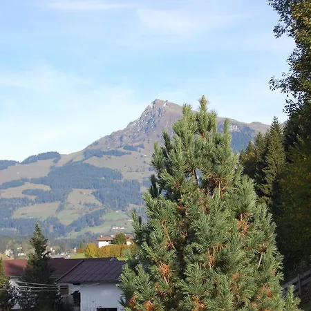 Alpenblick *